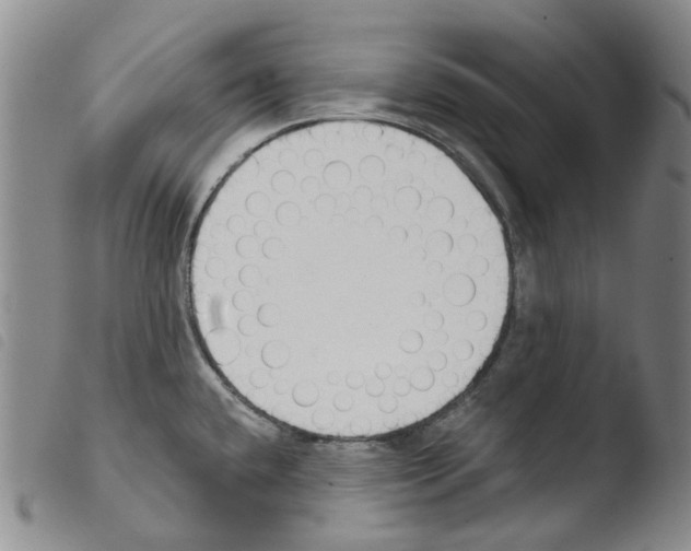 X0000103491432200810241051