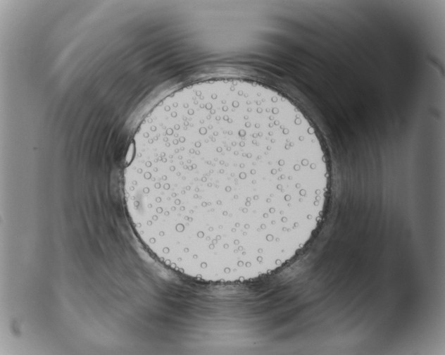 X0000103491433200810241051
