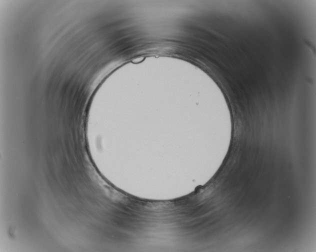 X0000103491434200810241051