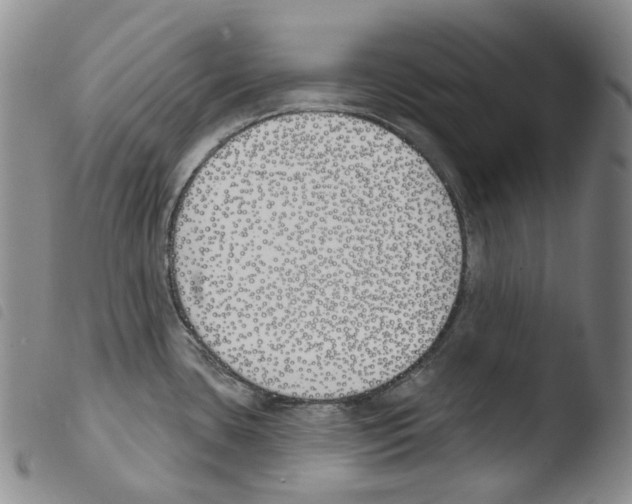 X0000103491435200810241051