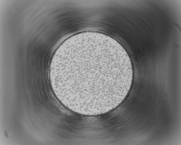 X0000103491436200810241051
