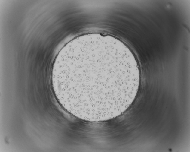 X0000103491437200810241051
