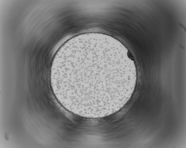 X0000103491438200810241051