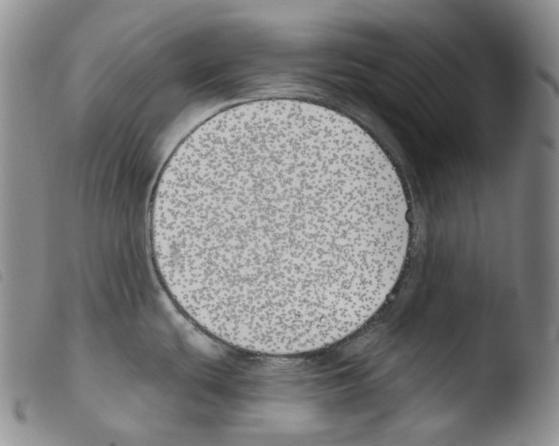 X0000103491439200810241051