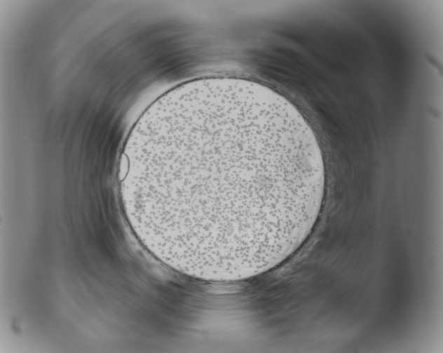 X0000103491440200810241051