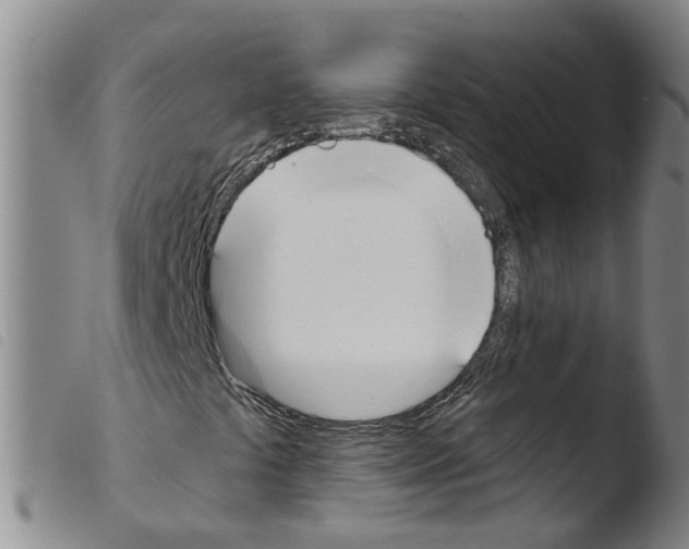 X0000103491441200810241050