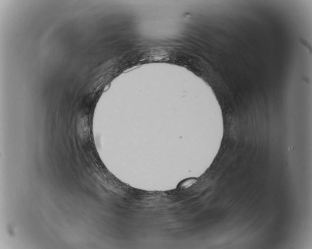 X0000103491442200810241050