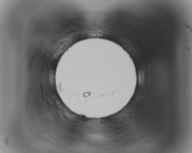 X0000103491444200810241050