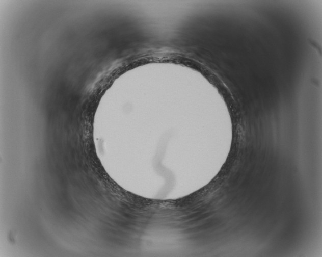 X0000103491447200810241050