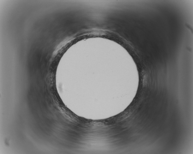 X0000103491448200810241050