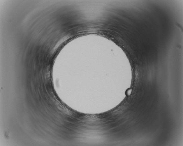 X0000103491450200810241050