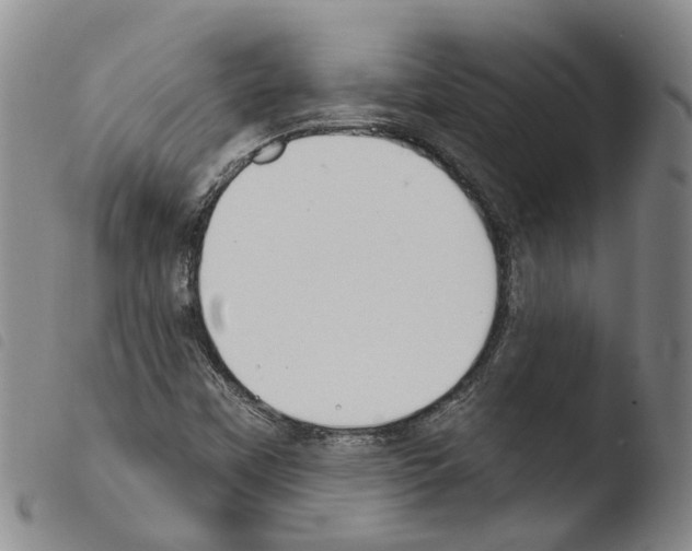 X0000103491451200810241050