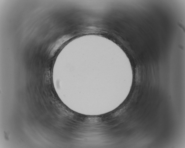 X0000103491453200810241050