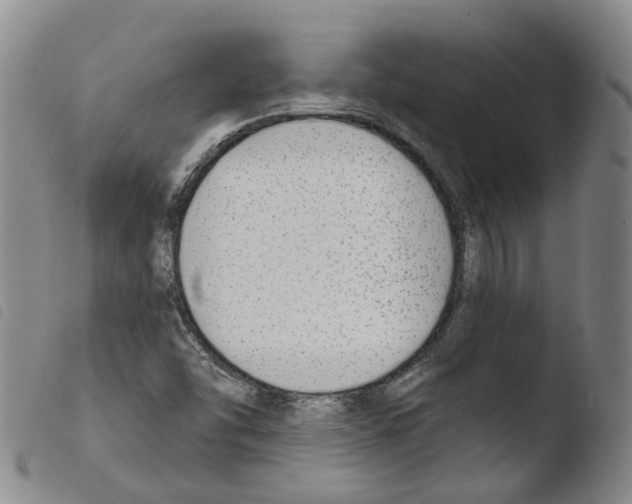 X0000103491454200810241050