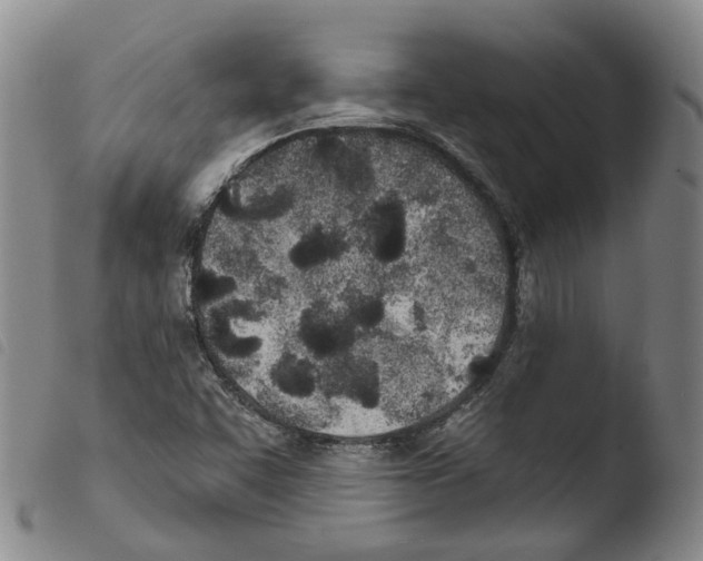X0000103491455200810241050