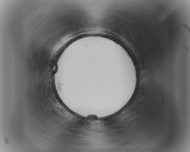 X0000103491456200810241050