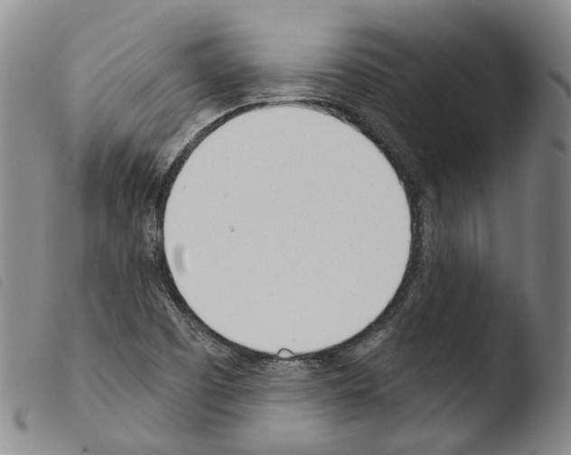 X0000103491457200810241050