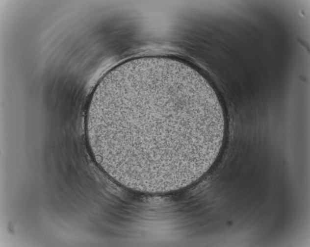 X0000103491459200810241050