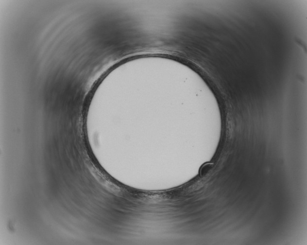 X0000103491460200810241050