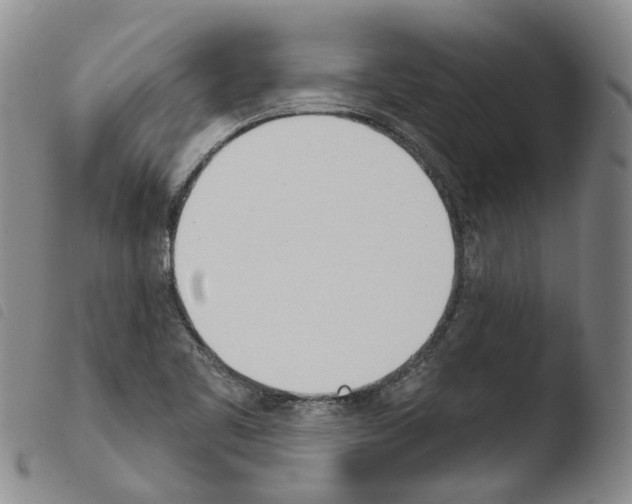 X0000103491461200810241050