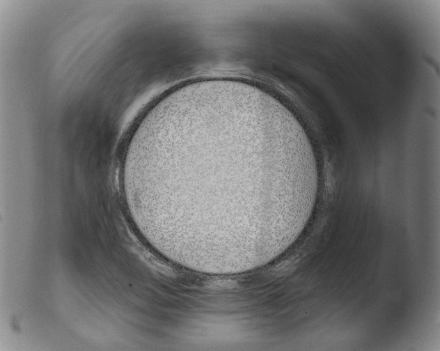 X0000103491462200810241050