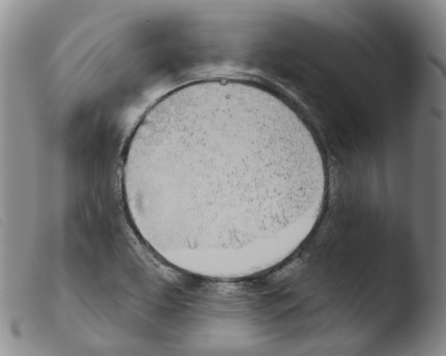 X0000103491463200810241050