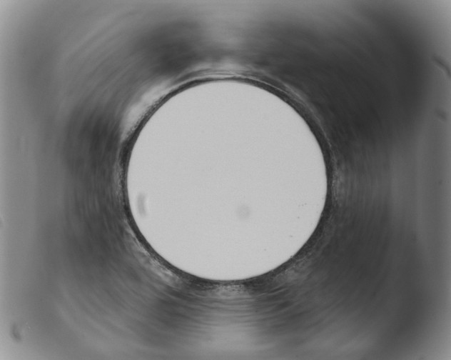 X0000103491464200810241050