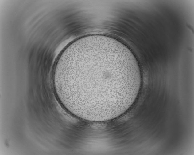 X0000103491466200810241050