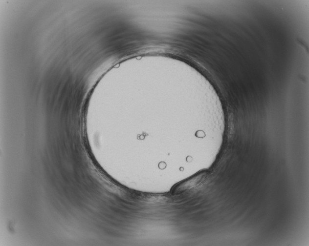 X0000103491467200810241050
