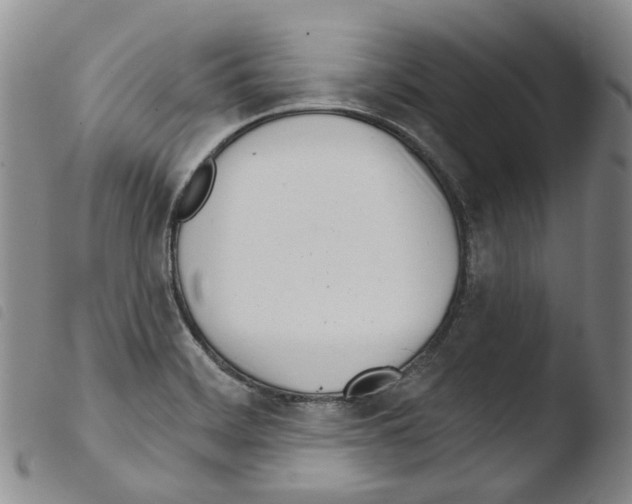 X0000103491468200810241050