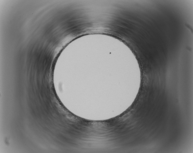 X0000103491469200810241050