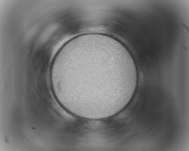 X0000103491470200810241050