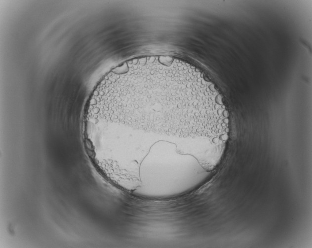 X0000103491471200810241050