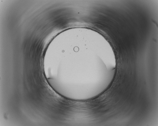 X0000103491472200810241050
