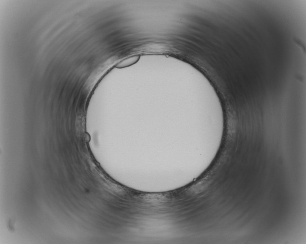 X0000103491473200810241050