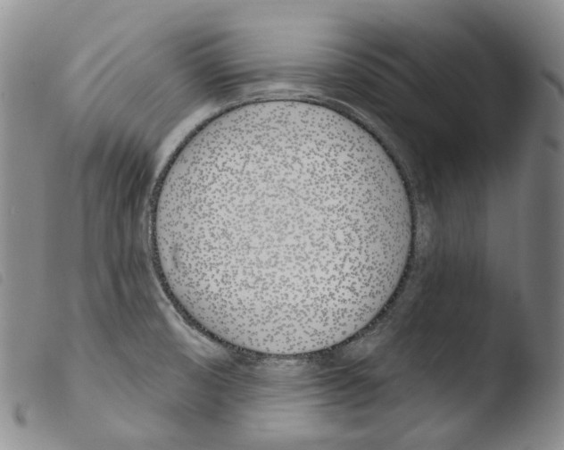 X0000103491474200810241050