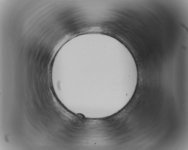 X0000103491475200810241050