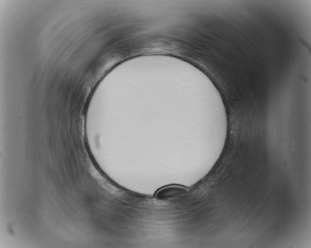 X0000103491476200810241050