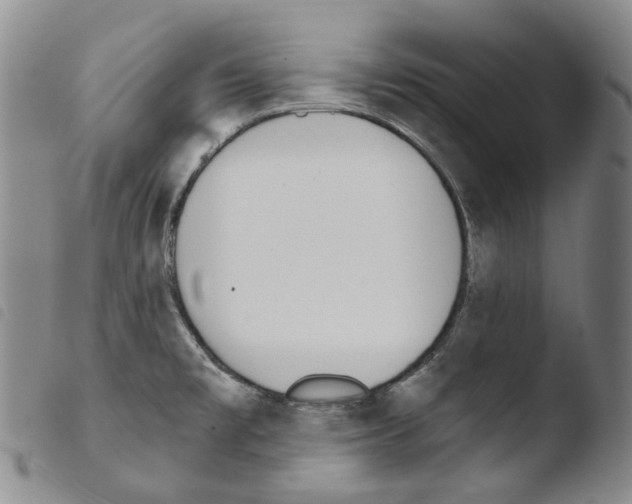 X0000103491477200810241050