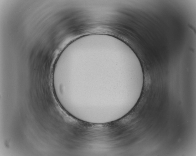 X0000103491478200810241050