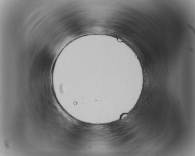 X0000103491479200810241050