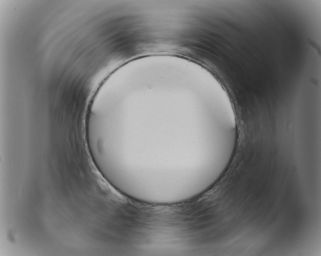 X0000103491480200810241050
