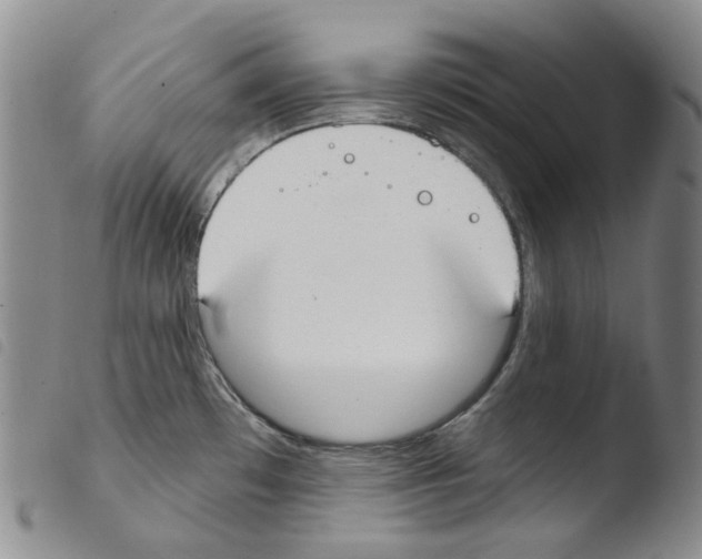 X0000103491481200810241050
