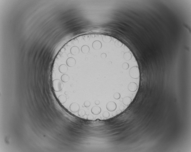 X0000103491483200810241050