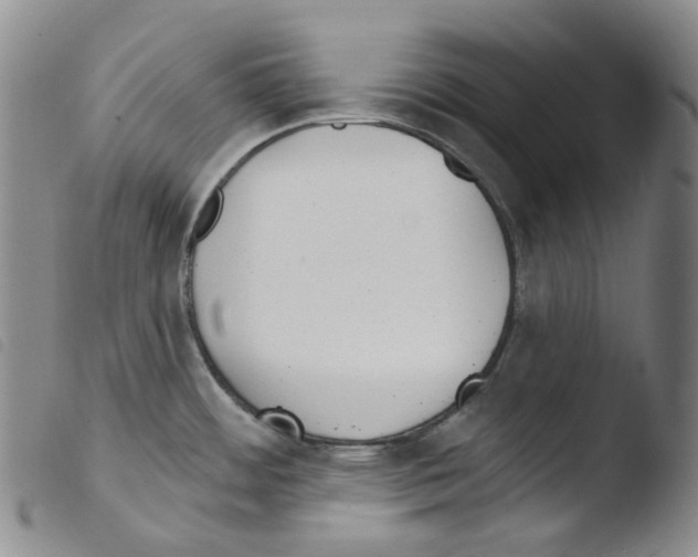 X0000103491484200810241050