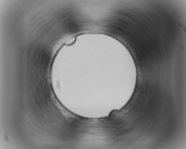 X0000103491485200810241050