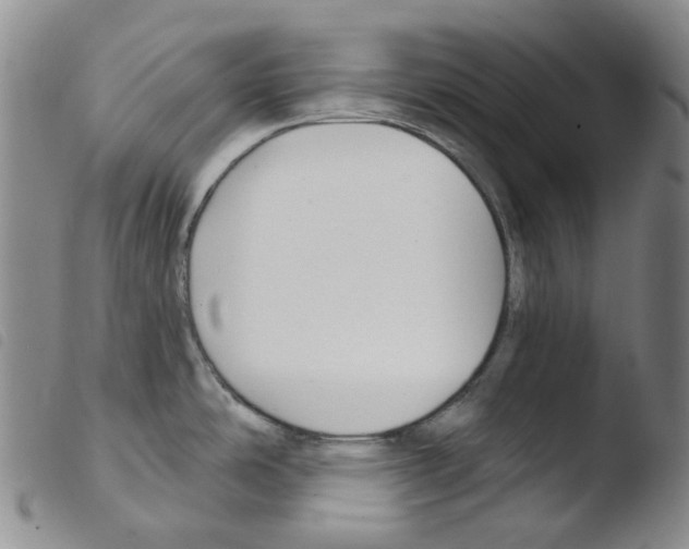X0000103491486200810241050