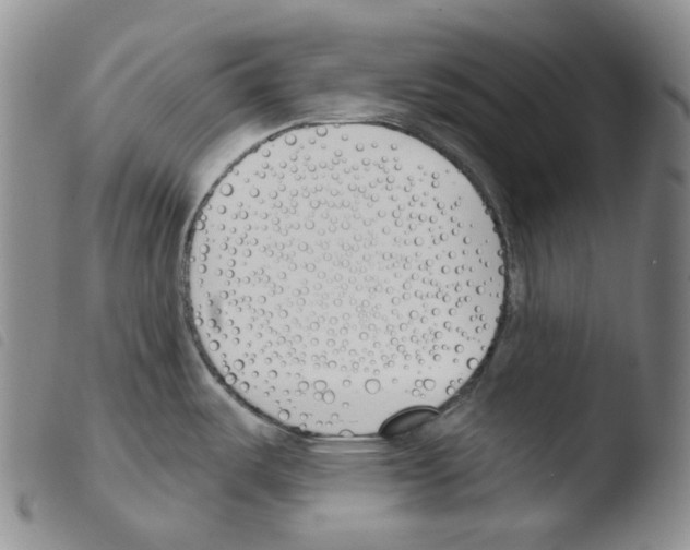 X0000103491487200810241050