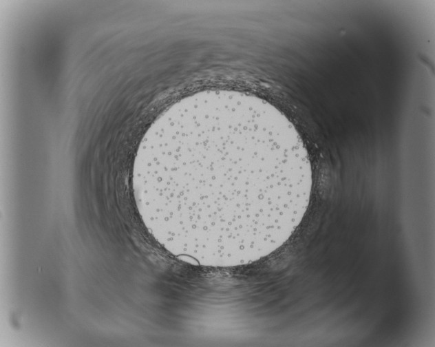 X0000103491489200810241049