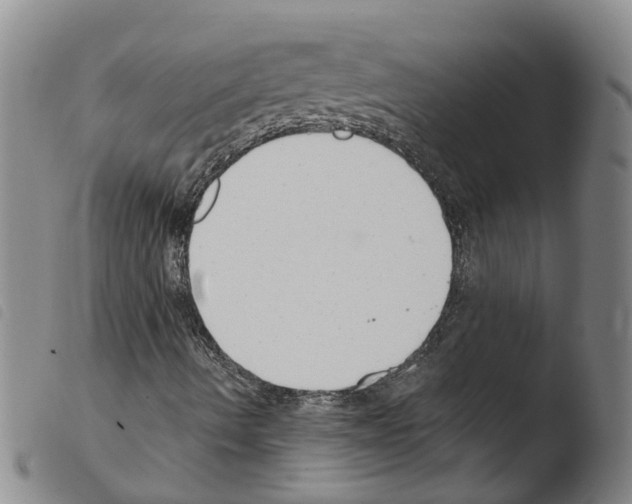 X0000103491490200810241049